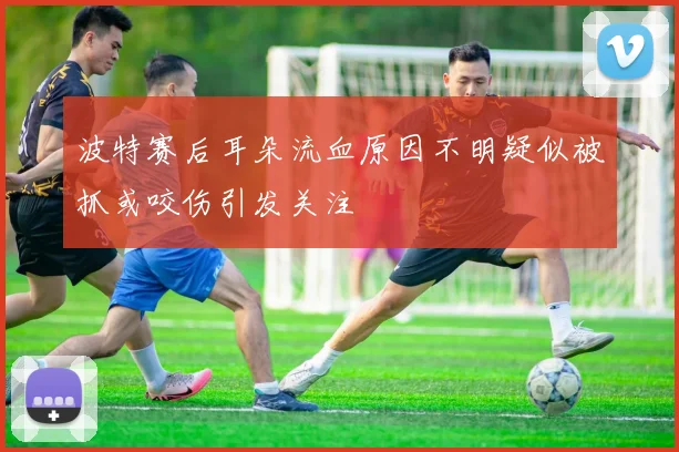 波特赛后耳朵流血原因不明疑似被抓或咬伤引发关注