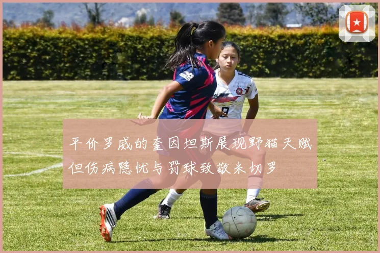 平价罗威的奎因坦斯展现野猫天赋但伤病隐忧与罚球致敬米切罗